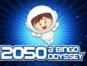 sorteio bingo online