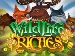 casino online free 100